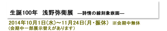 生誕100年記念 浅野弥衛展